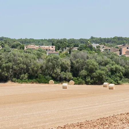 Petit Rural Son Jorda *