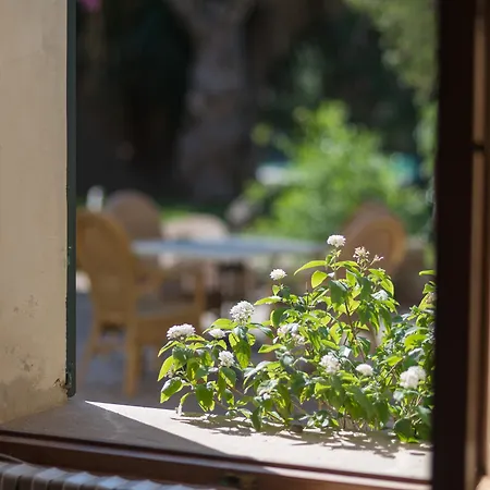 Country house Petit Rural Son Jorda *