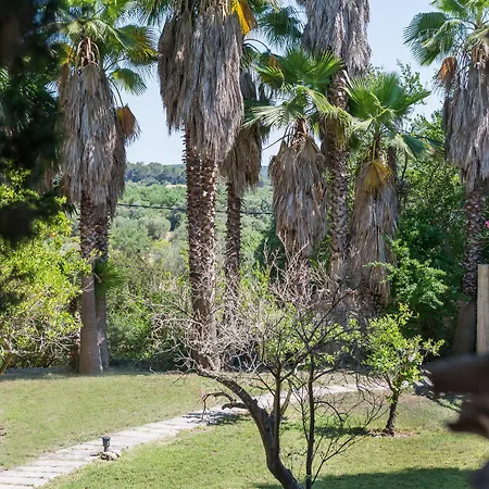 Country house Petit Rural Son Jorda