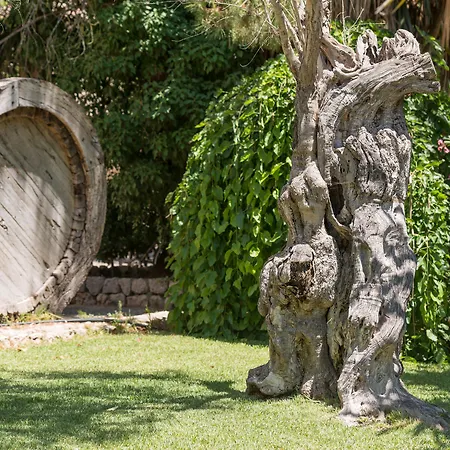 Country house Petit Rural Son Jorda Sencelles
