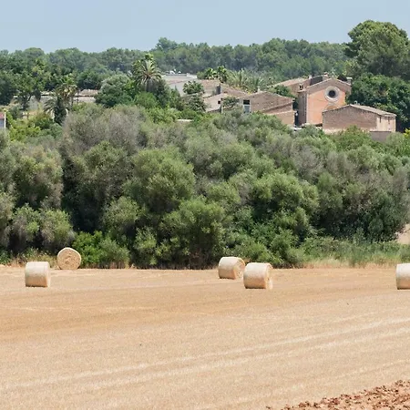 Petit Rural Son Jorda *